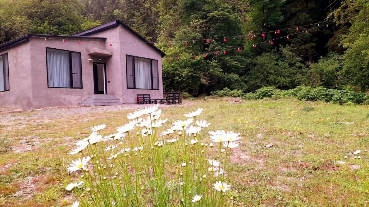 Cozy House In The Forest Bordżomi Zewnętrze zdjęcie