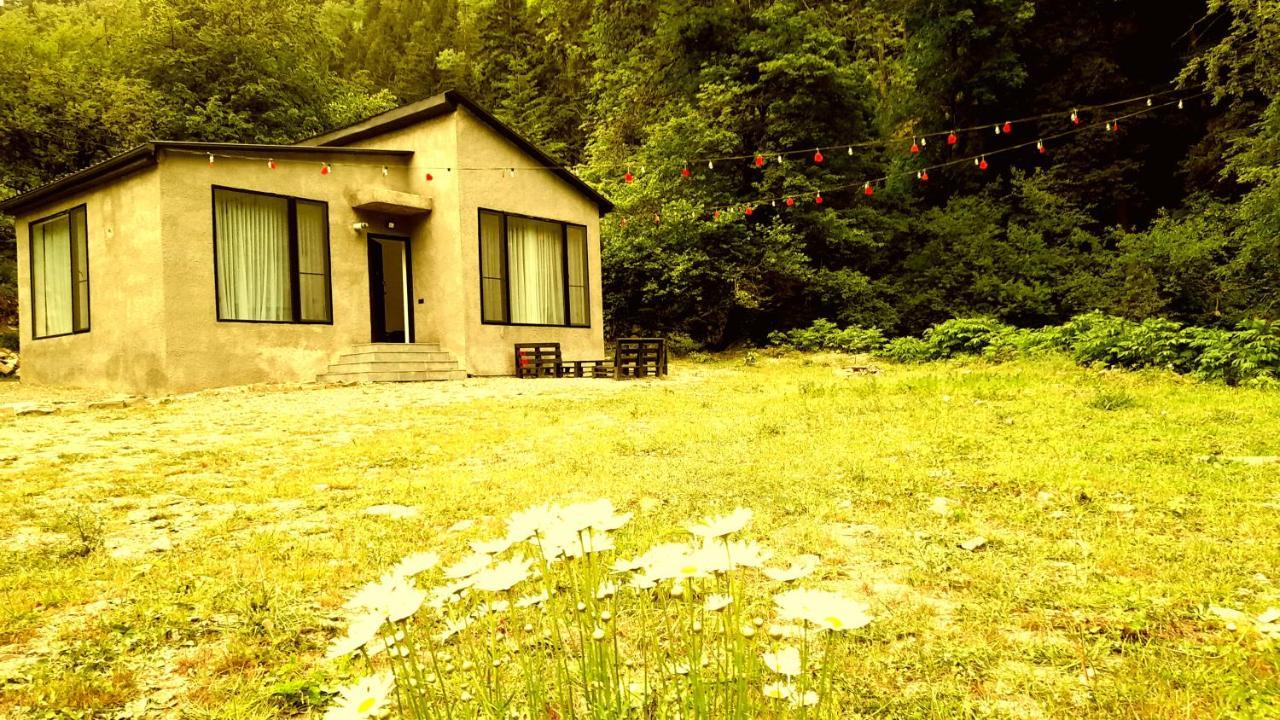 Cozy House In The Forest Bordżomi Zewnętrze zdjęcie