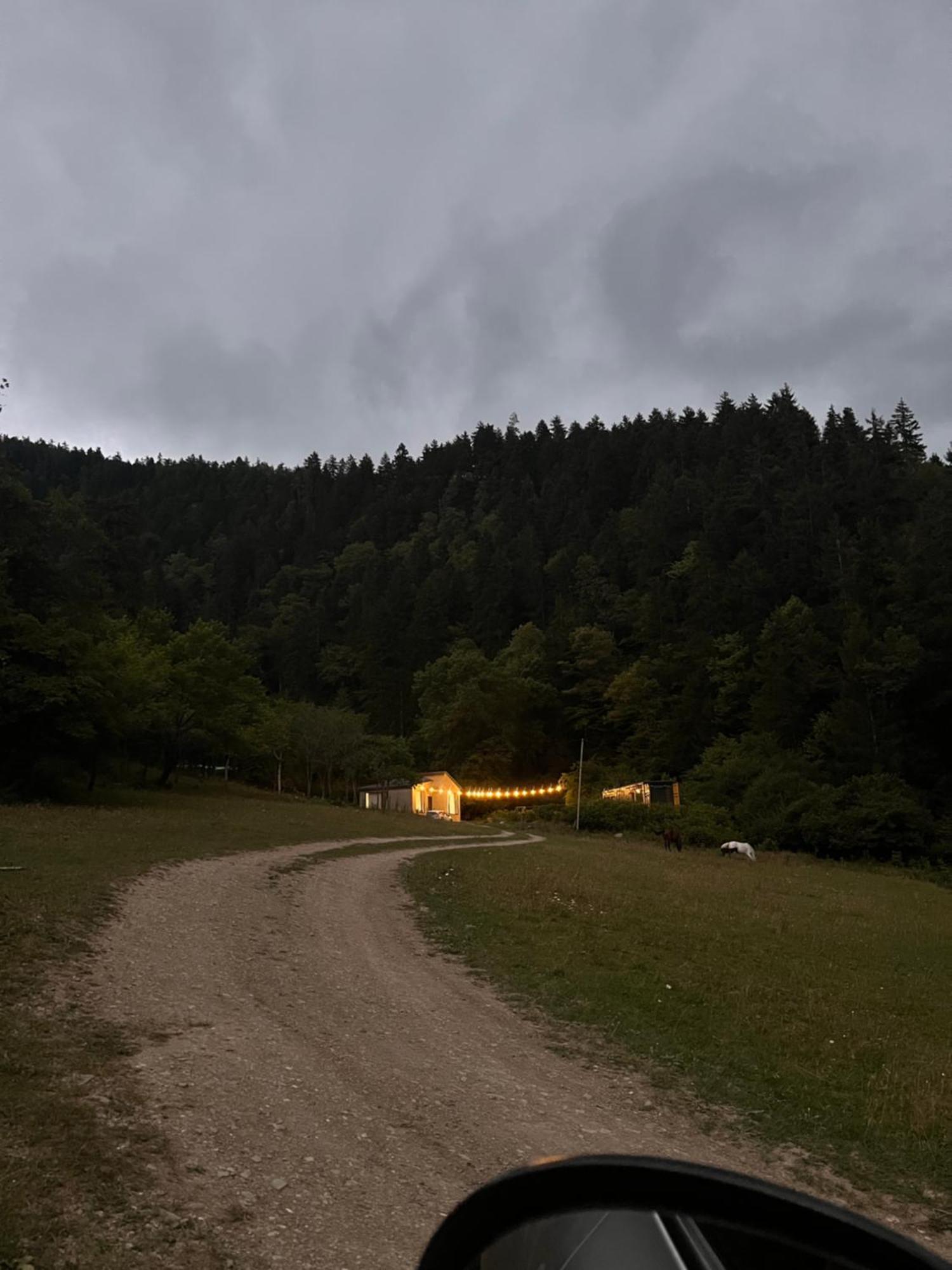 Cozy House In The Forest Bordżomi Zewnętrze zdjęcie